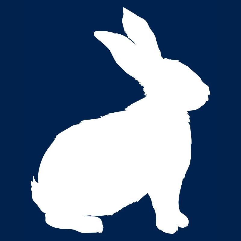Rabbit vector