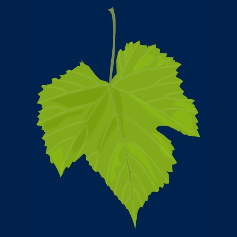 feuille d'érable