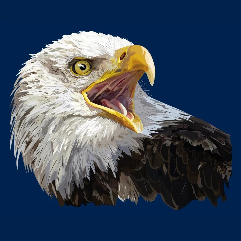 bald eagle