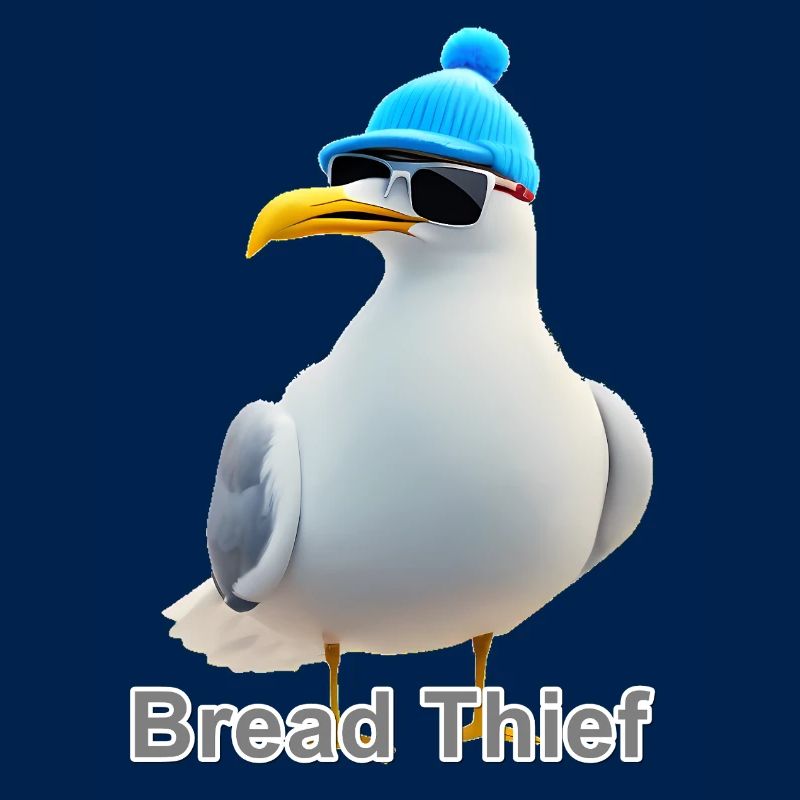 Möwe