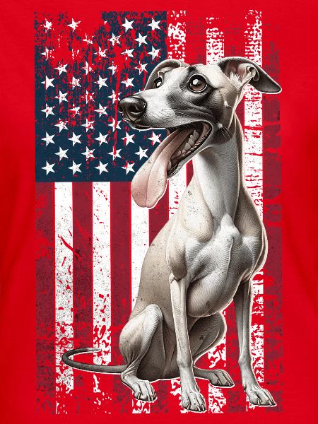 Whippet US Windhund