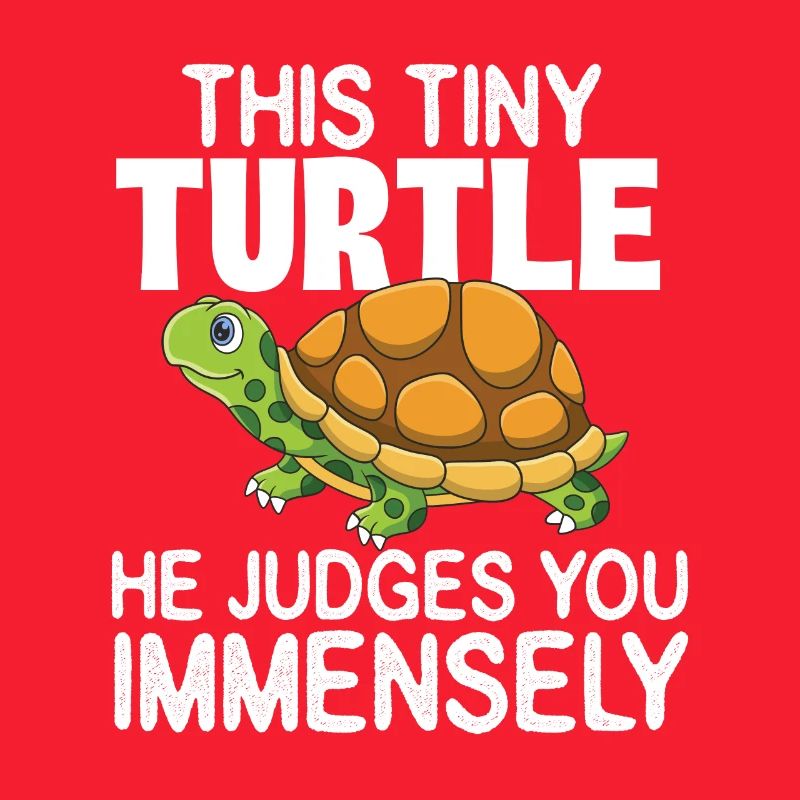 Diese winzige Schildkröte beurteilt Sie immens