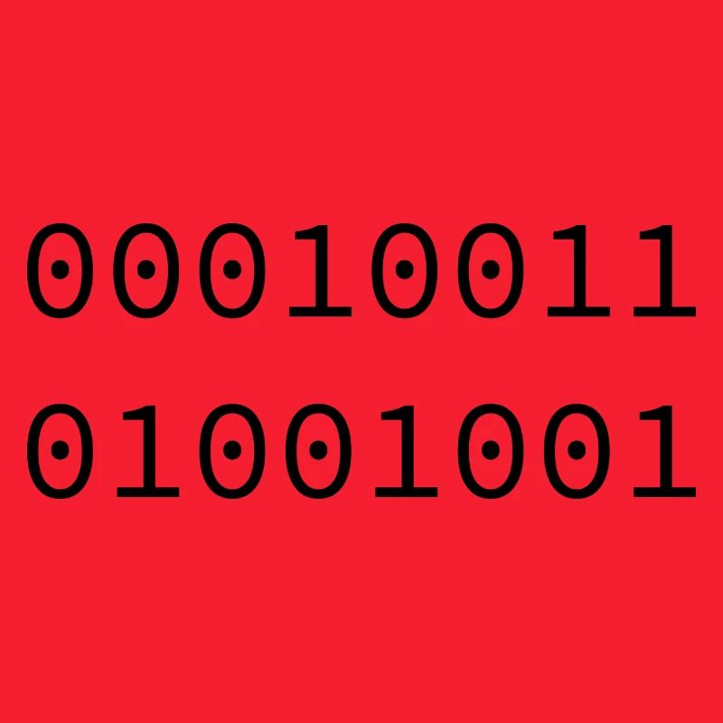 1973 Binary