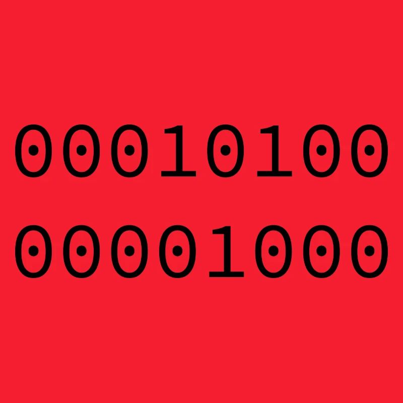 2008 Binary