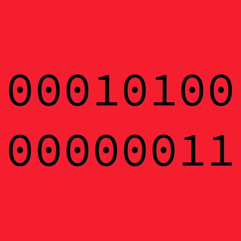 2003 Binary