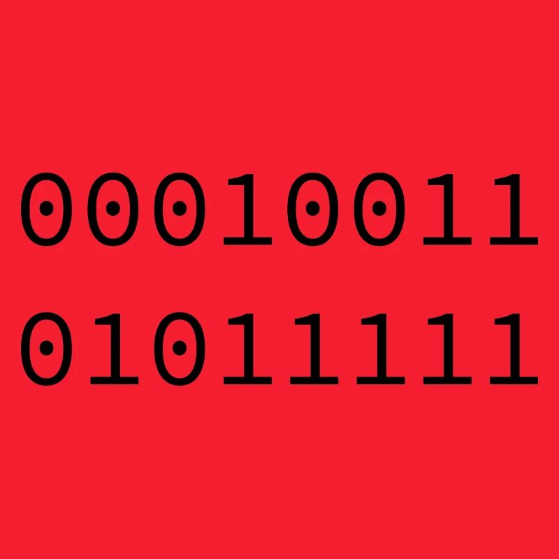 1995 Binary