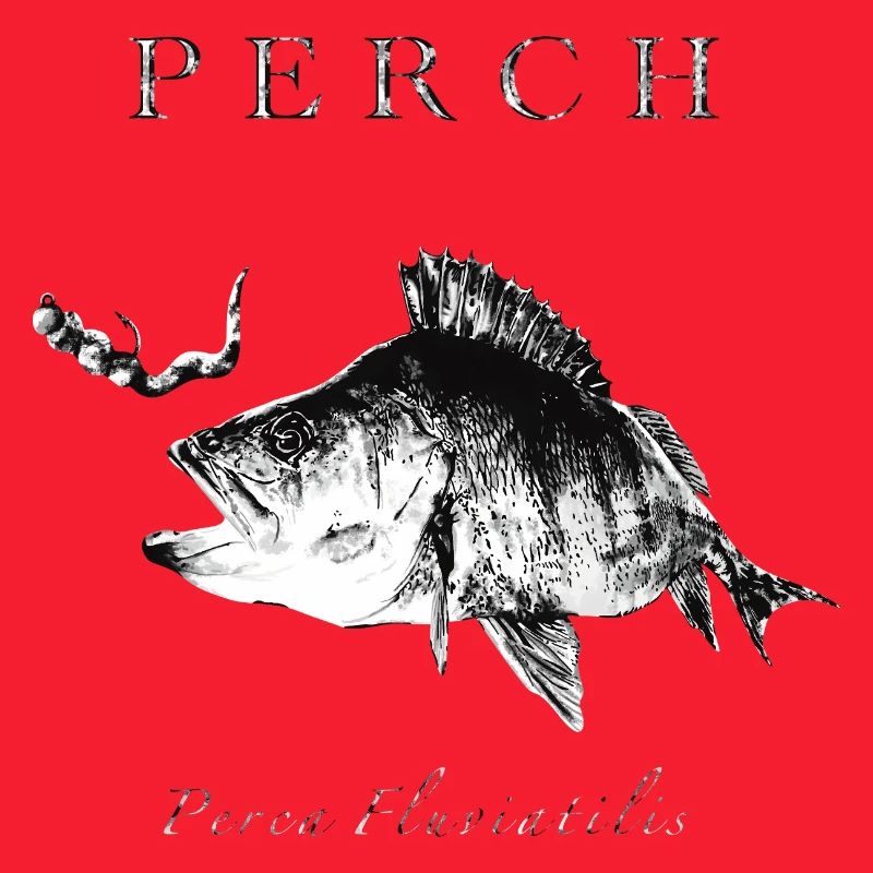 Perch Angler - Artificial lures for predatory fish