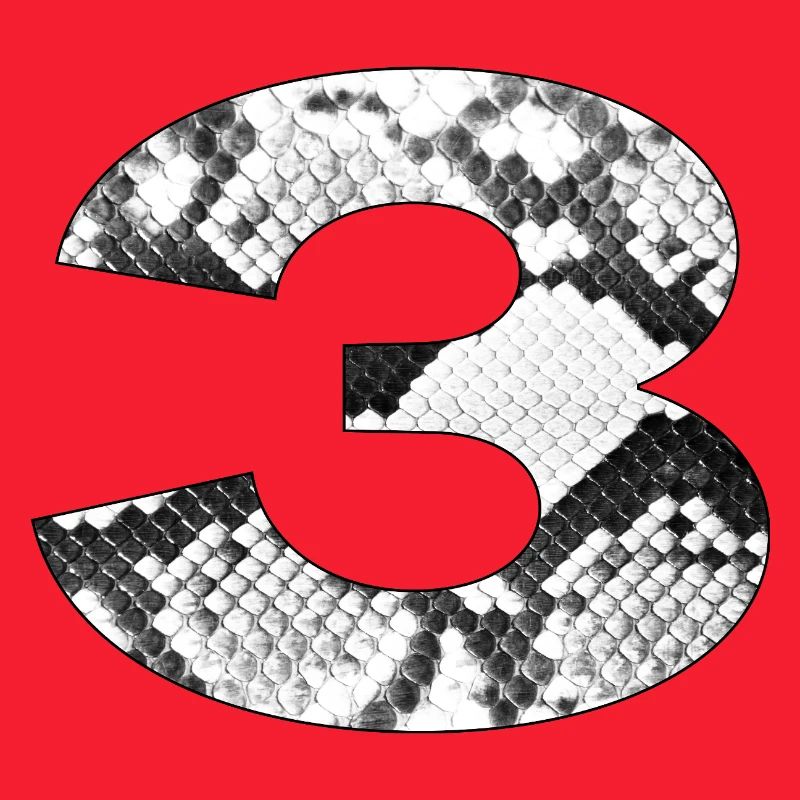 Snakeskin Pattern Number 3