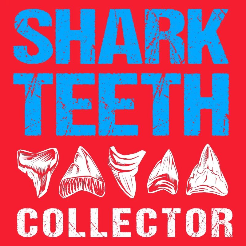 Sharks Shark Tooth Teeth Shark Teeth