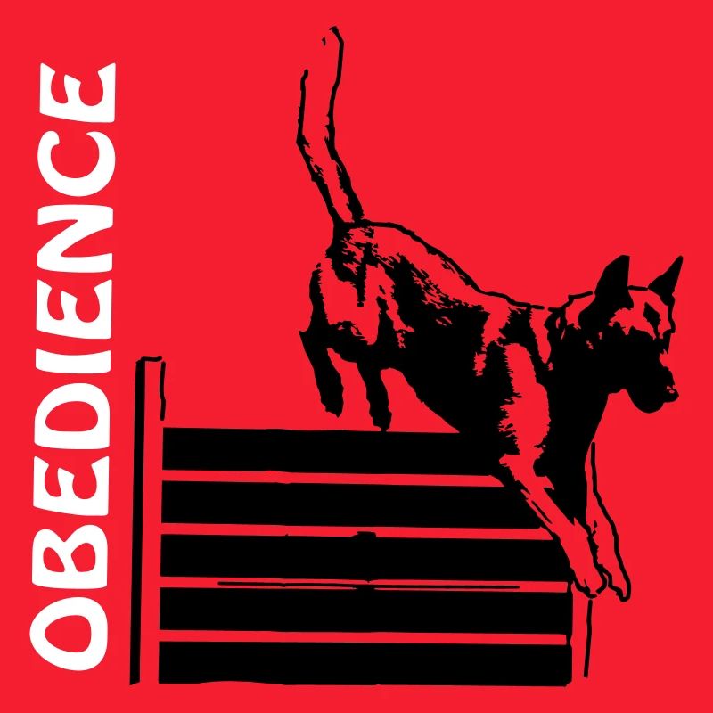Obéissance au saut d'obstacles avec Malinois