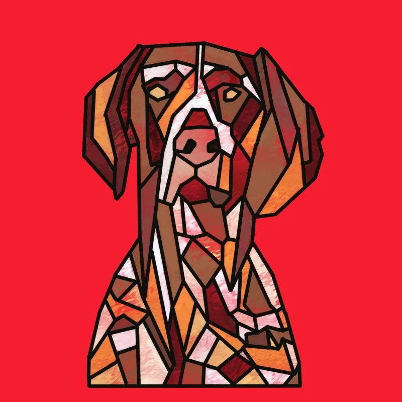 German Pointer