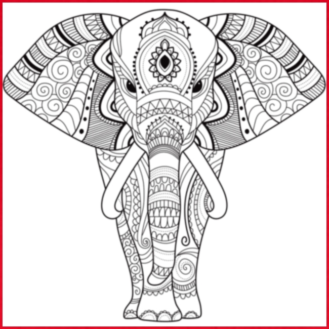 FreelyClothing - Elefant