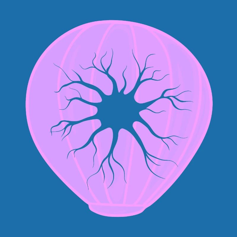 Biologie Evolution Studium