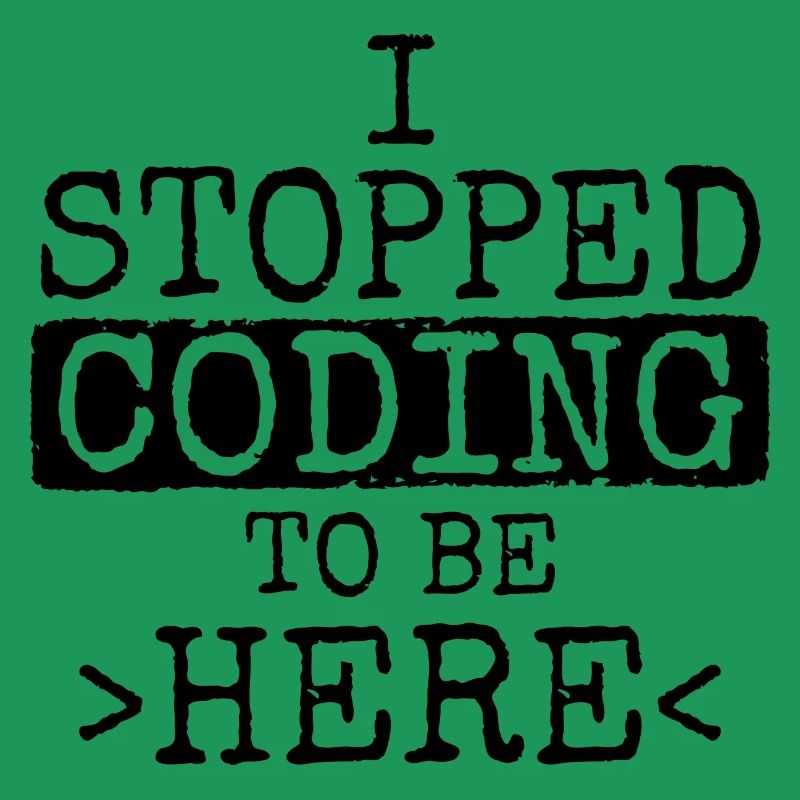 Software Ingenieur Informatiker Programmierer