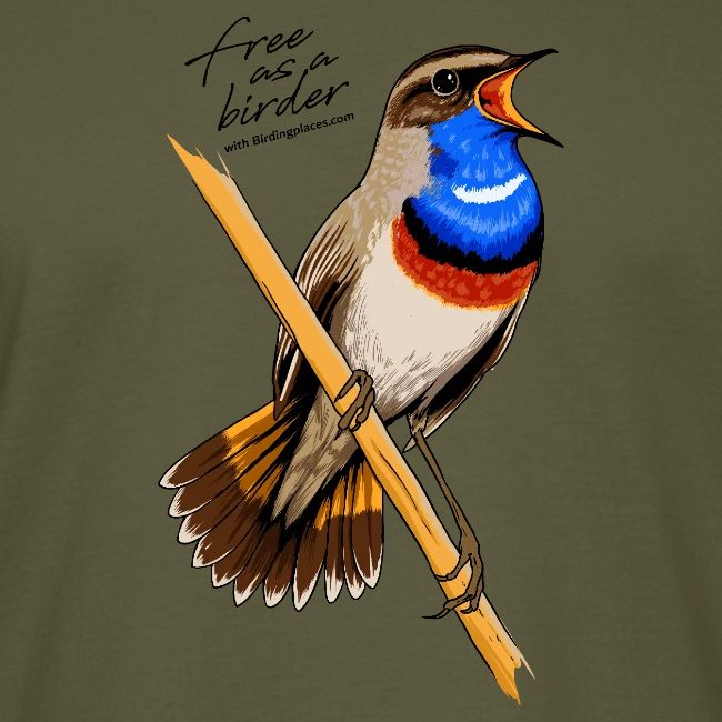 Birdingplaces Bluethroat Free like a birder II