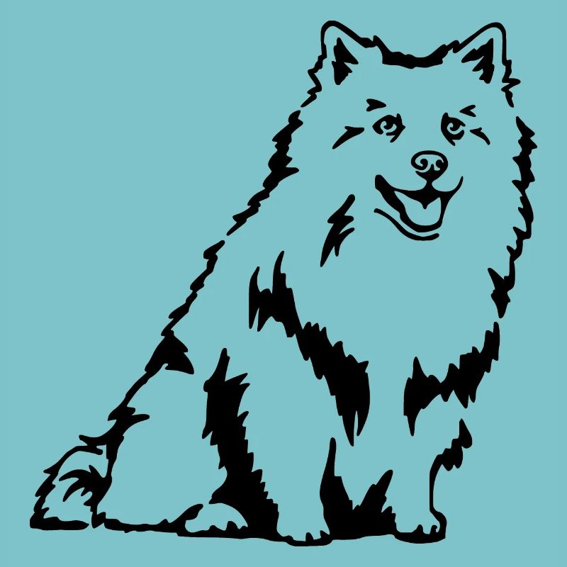 Spitz allemand