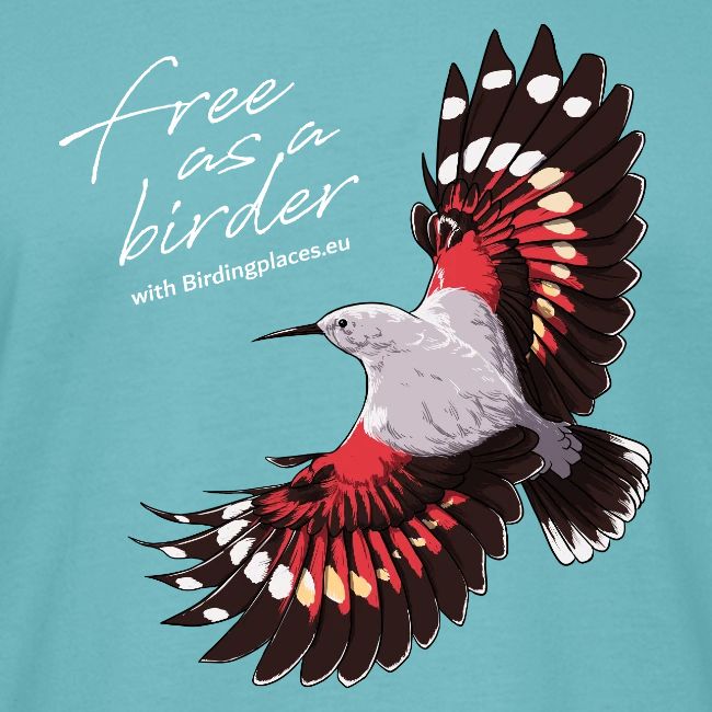 Birdingplaces Wallcreeper Free as a Birder II