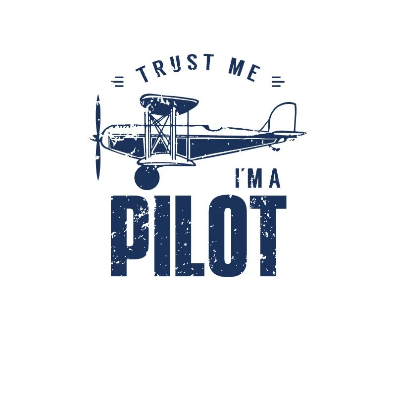 Team airplane pilot aviator flight pilot pilot