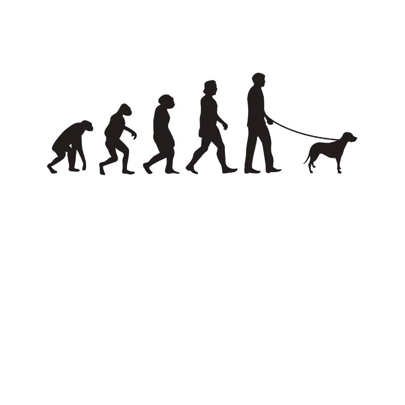 Brandlbracke Evolution Bracke chien de chasse