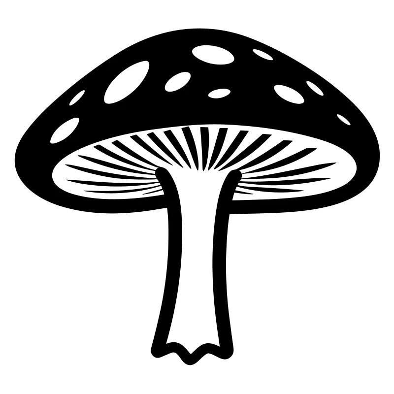 champignon