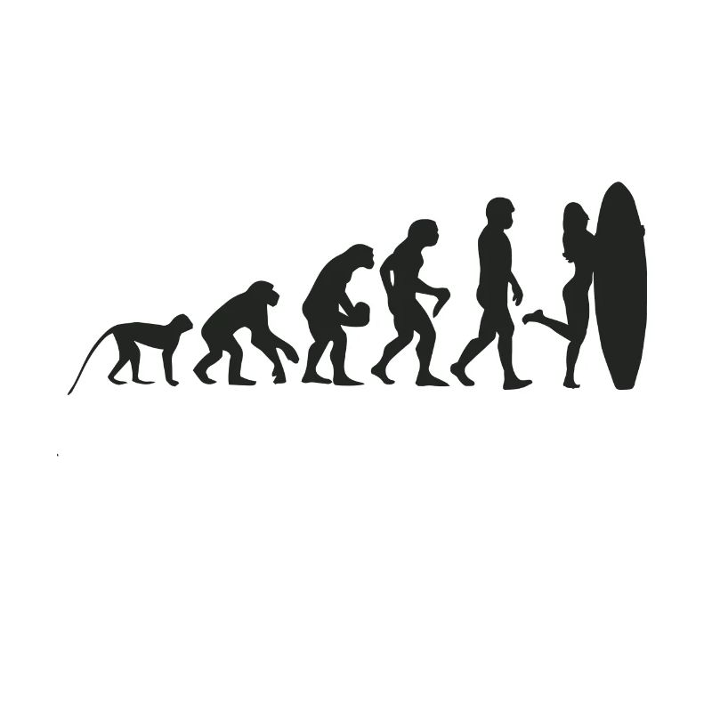 Evolution Surf