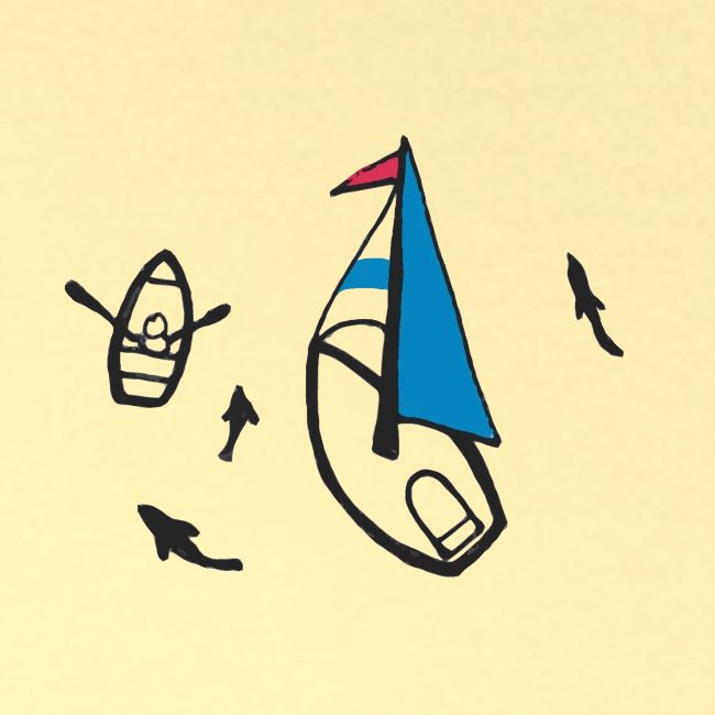 swimming with sharks