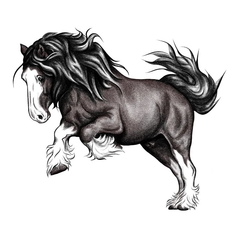 Puissance de cheval