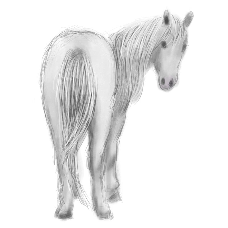 Pferd