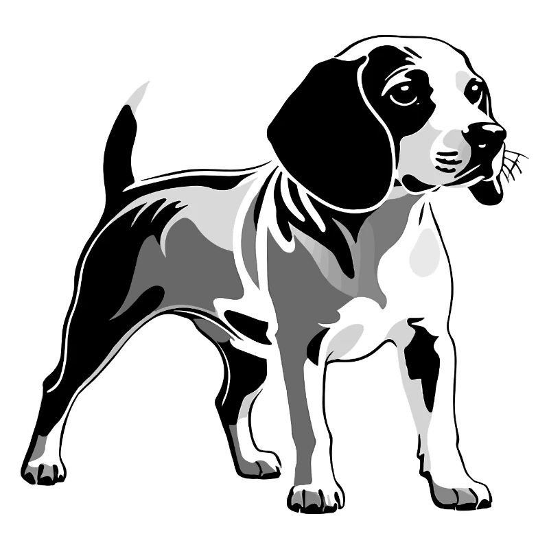 Beagle - Conception de chien de compagnie