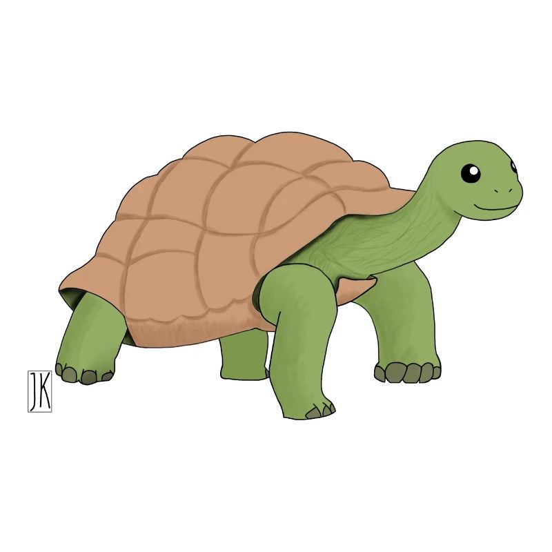 Cartoon turtle