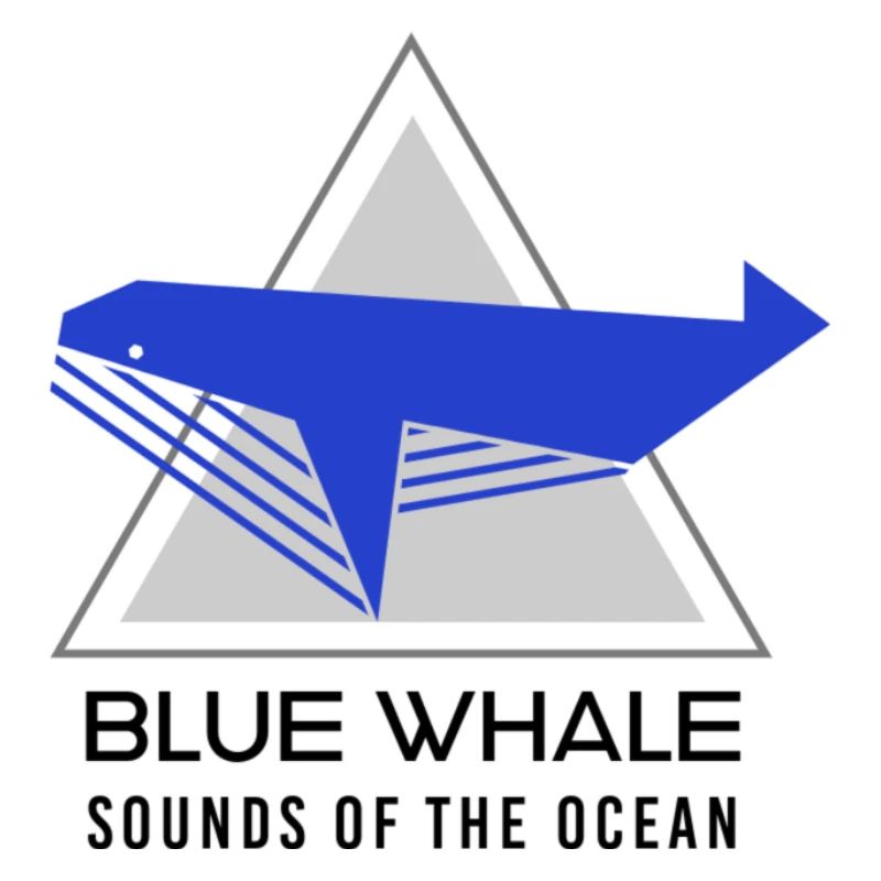 Blauwal -Klang des Ozeans
