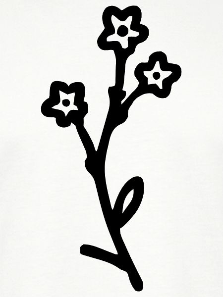 Blume 4