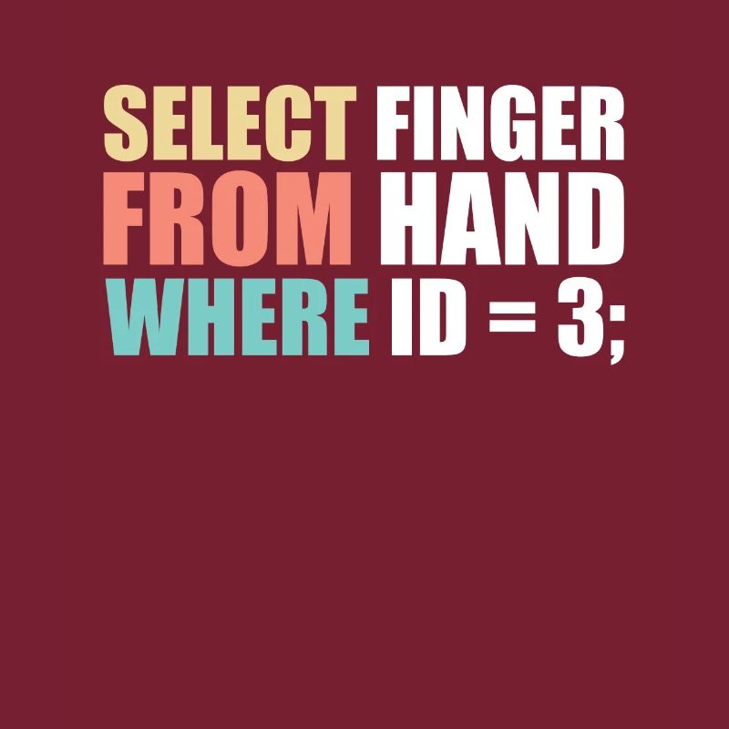 Computer scientist programmer