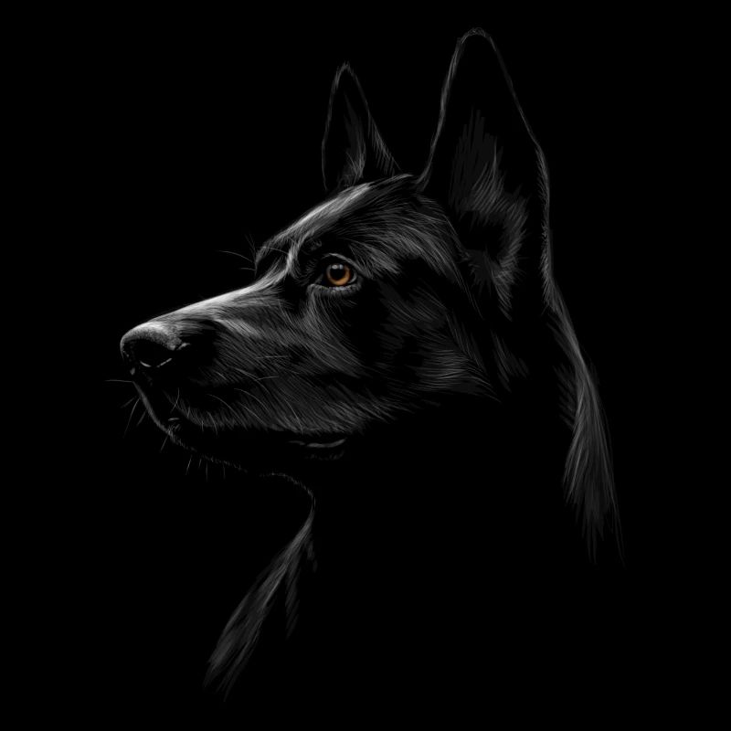 schwarzer Schäferhund / Malinois