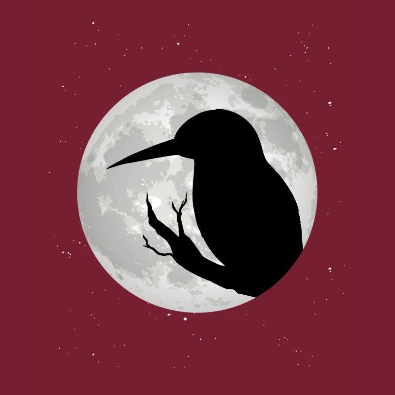 Eisvogel Mond Blauer Vogel