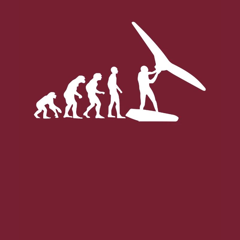 Wing Surf Evolution Wing Foil Geschenk Wingfoiler