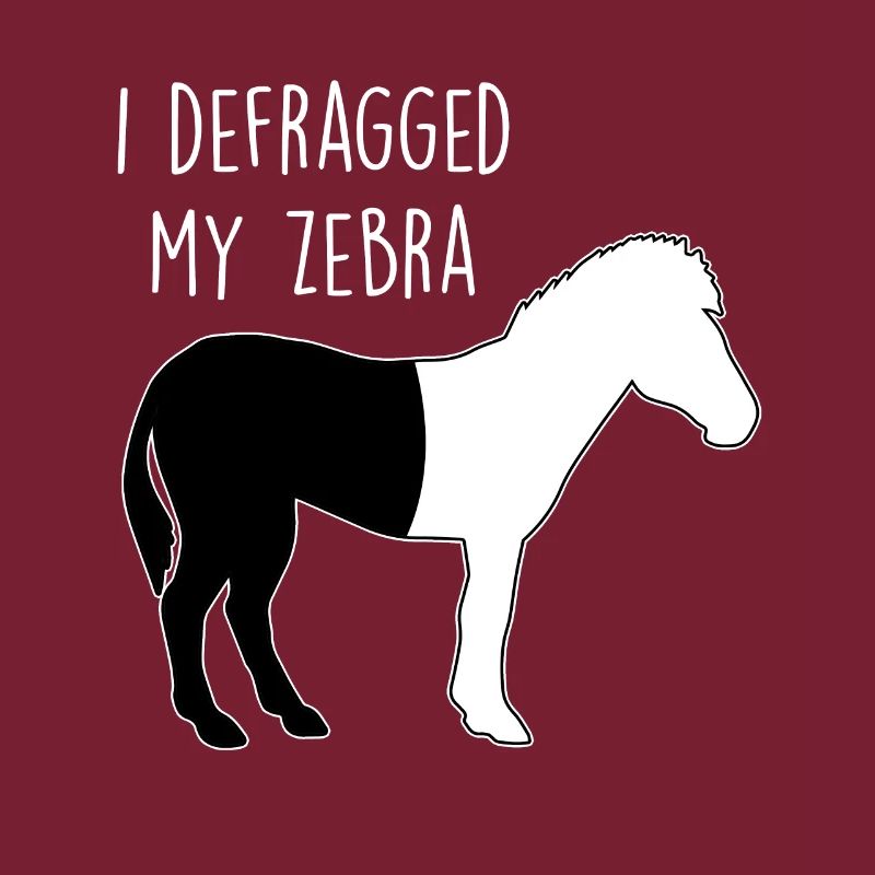 I defragged my Zebra Coder Informatiker Hacker