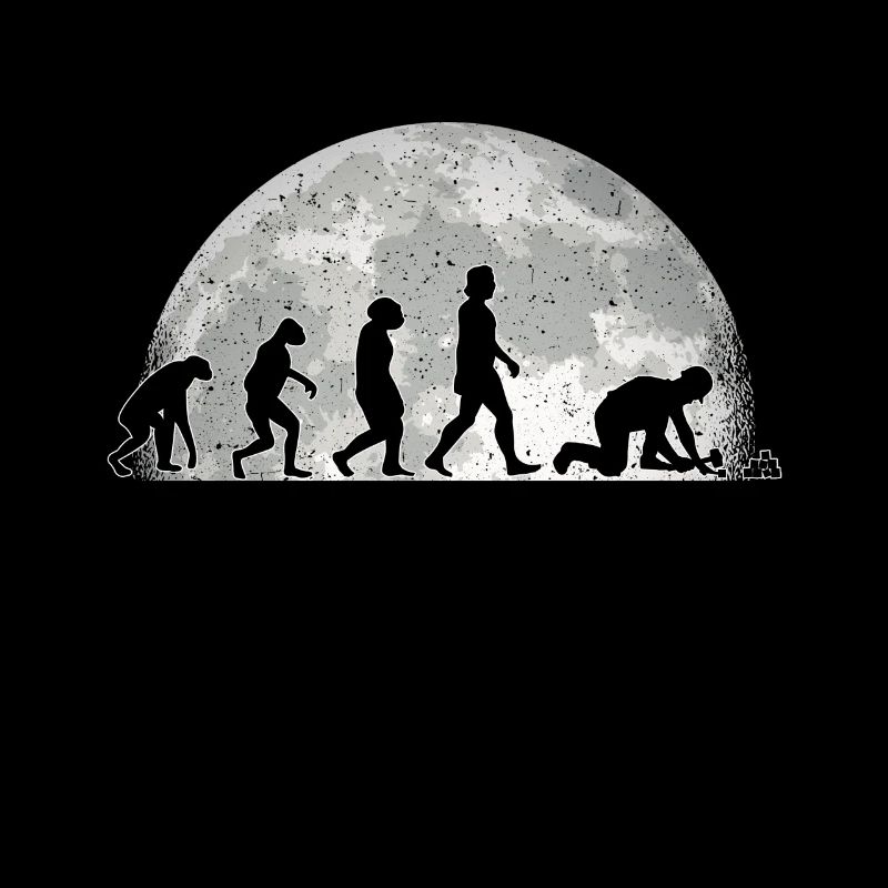 Pavage Evolution Lune Pierre Cadeau