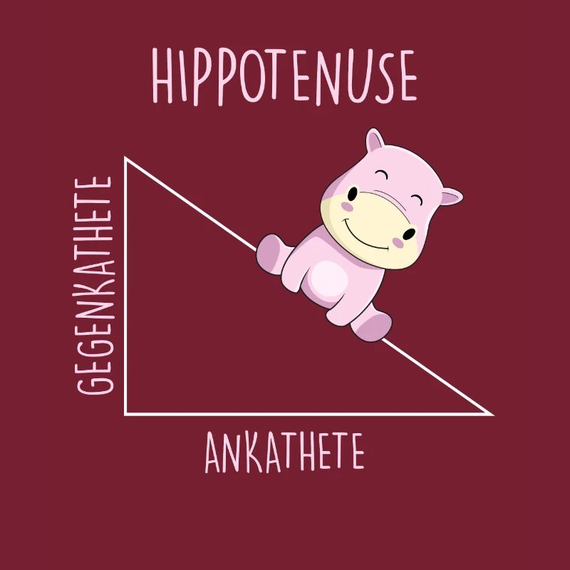 Hippotenuse Math Teacher