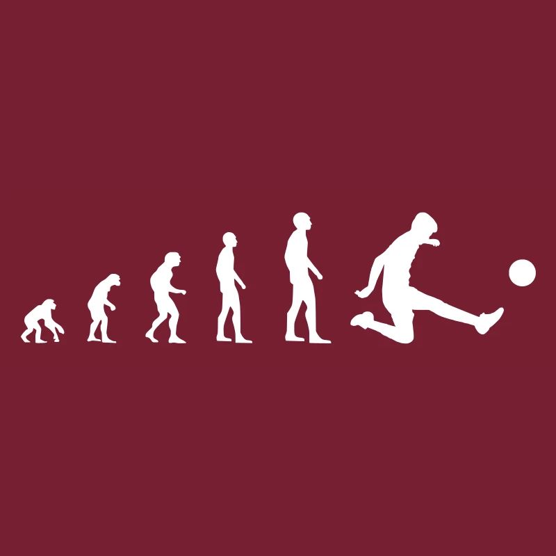 Fußball – Evolution