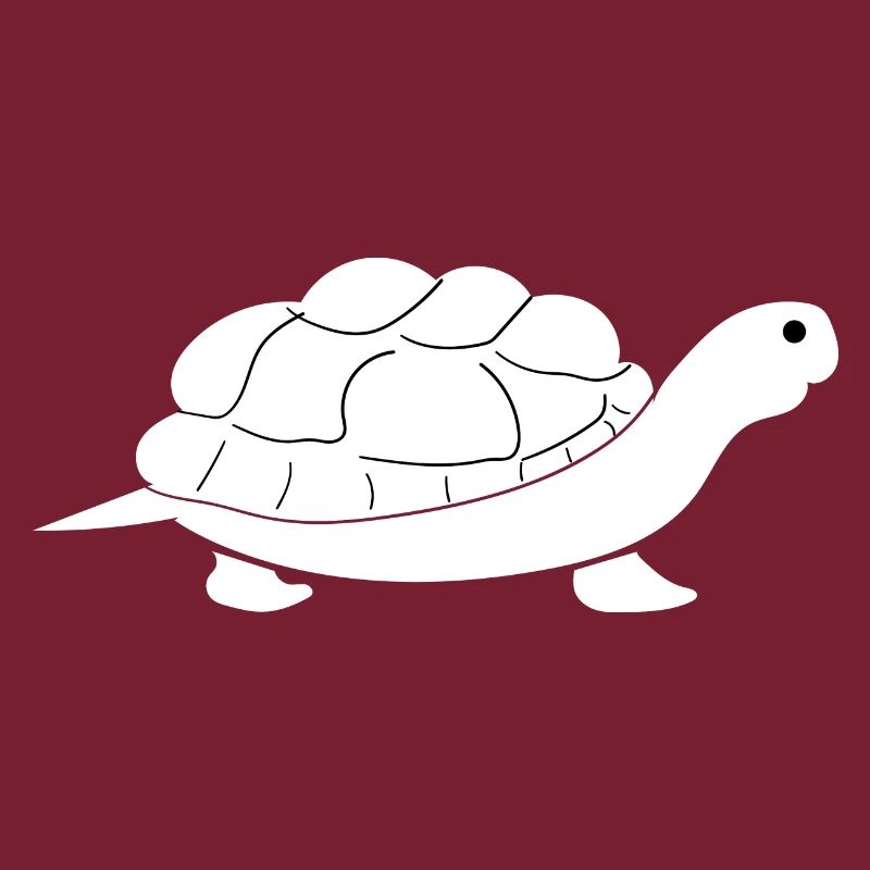 Turtle Turtle