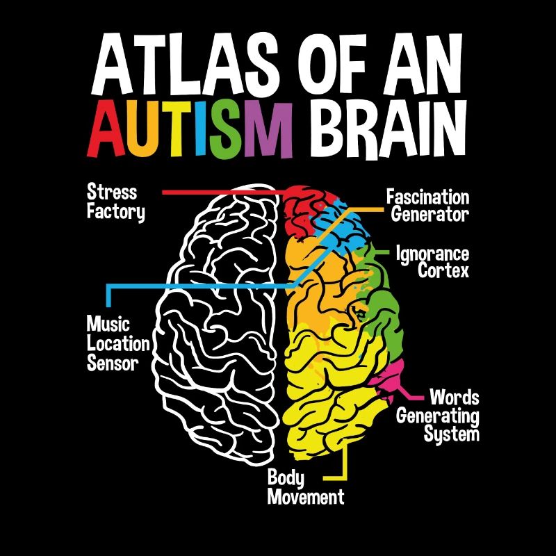 An Autism Brain