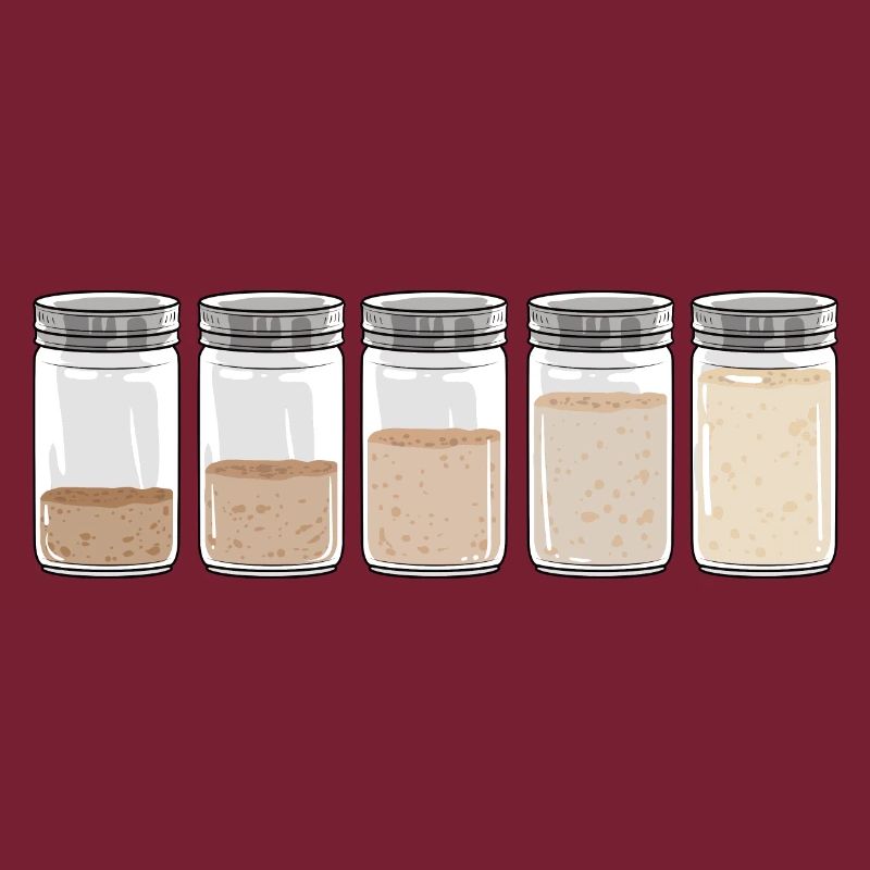 Sourdough I Sourdough Starter Evolution I Bread