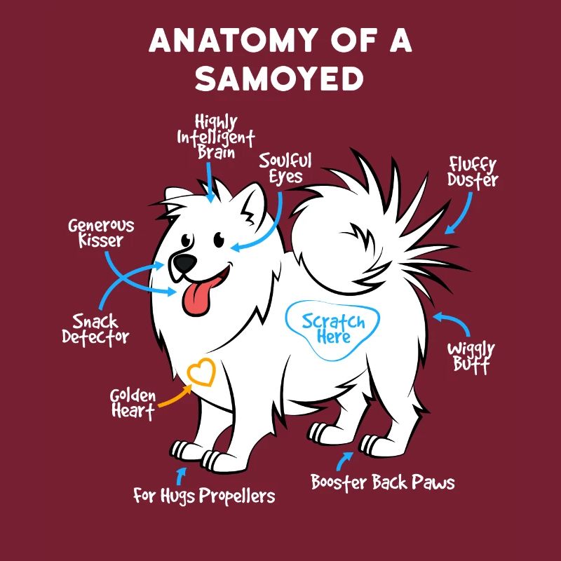 Dog Samoyed