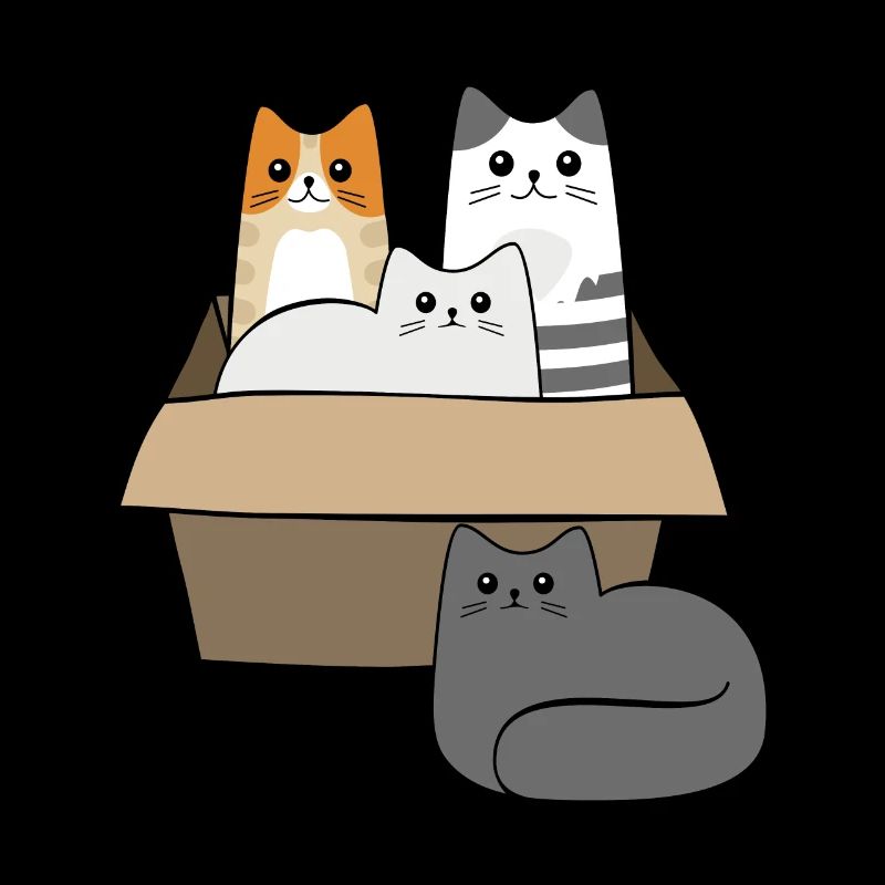 Chats dans une boîte