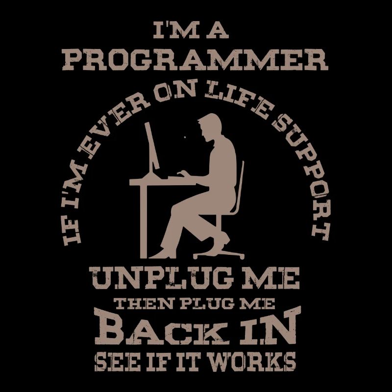 I'm a programmer - funny computer program