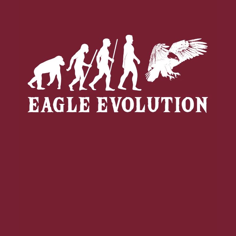 eagle evolution adler oiseau de proie développement oiseau