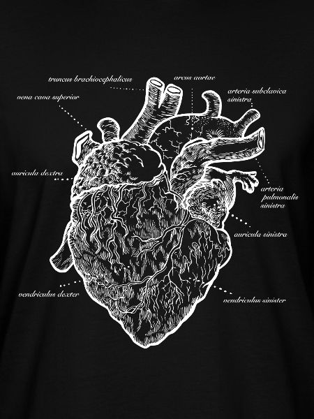 Anatomical heart