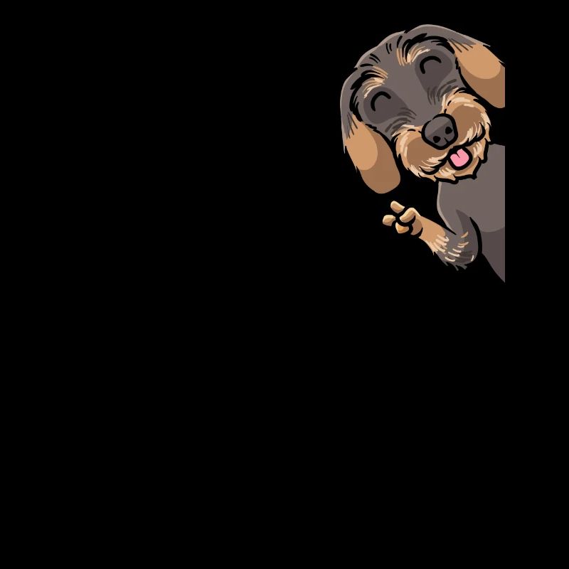 Rough-haired Dachshund Dog