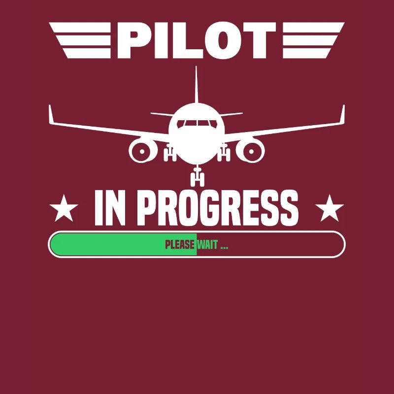 Pilot In Progress Aviation Engineering